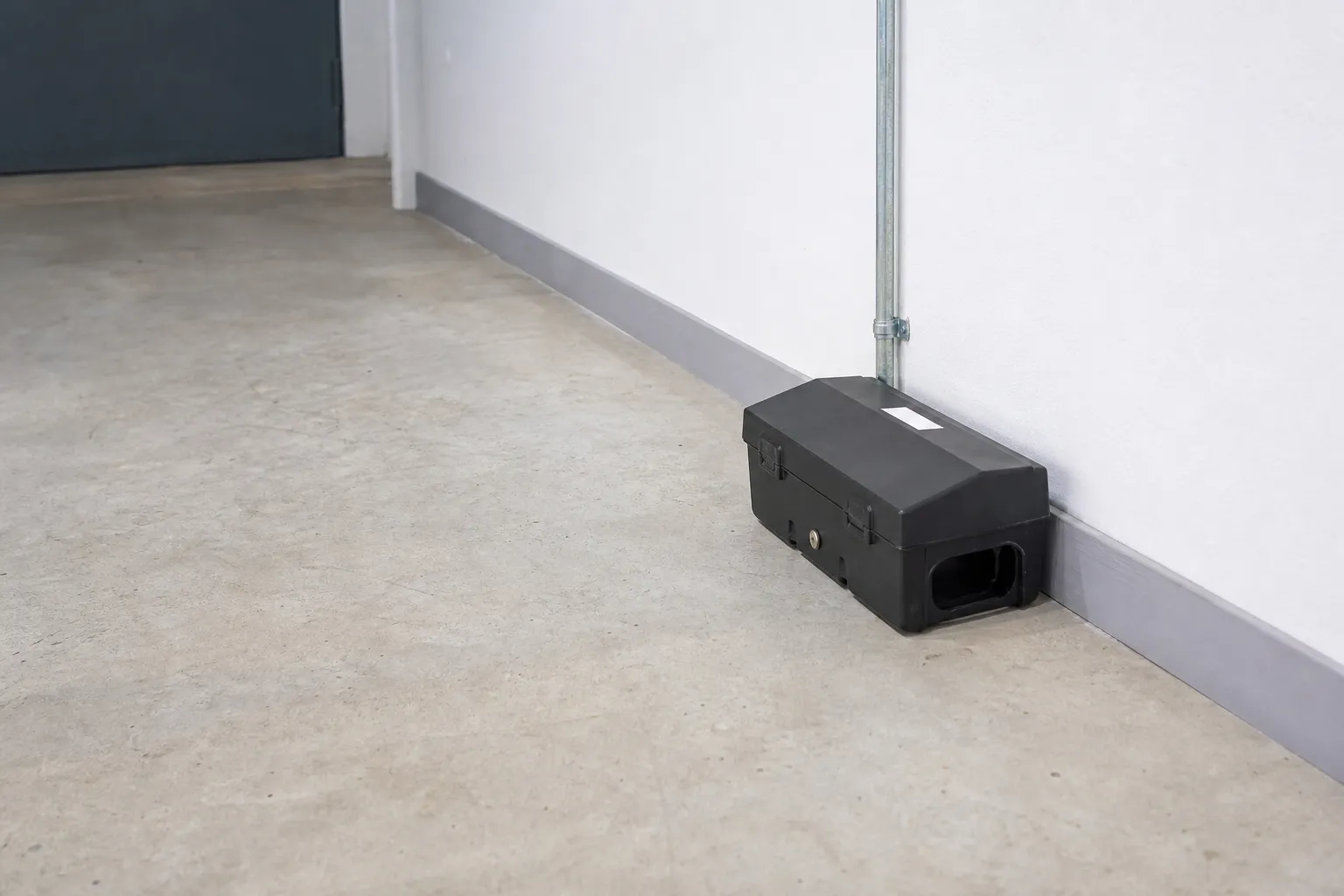 Poste d'appâtage fermé et verrouillé, portant un numéro d'identification, posé au pied d'un mur dans un local technique